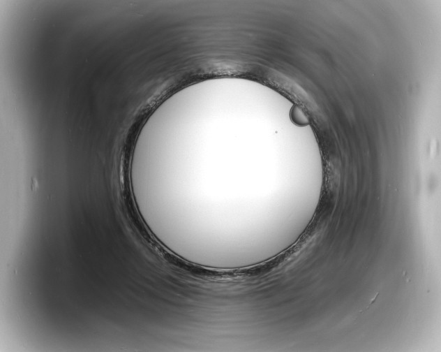 X0000098180358200804241035