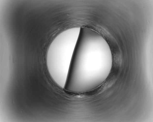 X0000098180364200804241035
