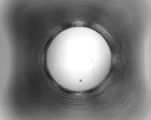 X0000098180365200804241035