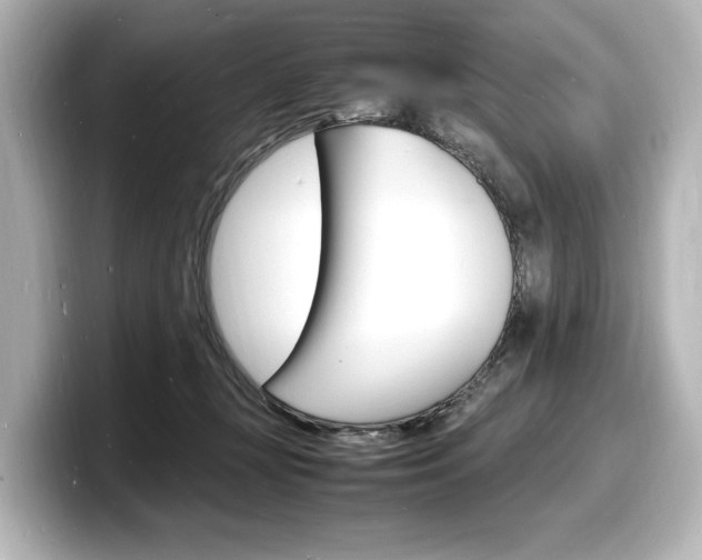 X0000098180367200804241035