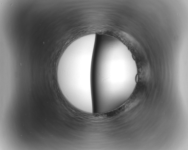 X0000098180368200804241035