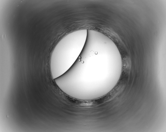 X0000098180369200804241035