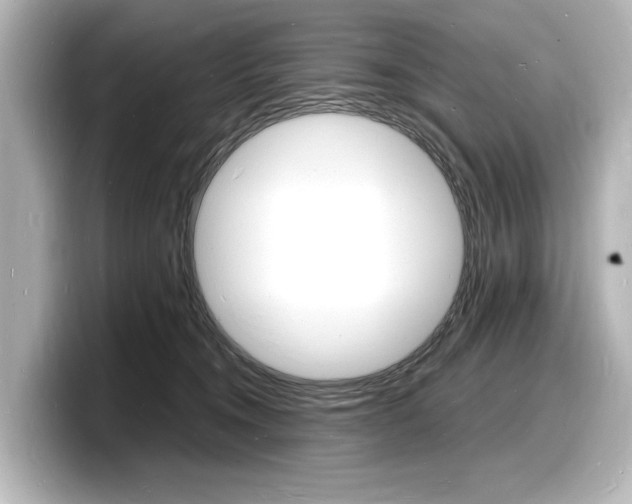 X0000098180372200804241035