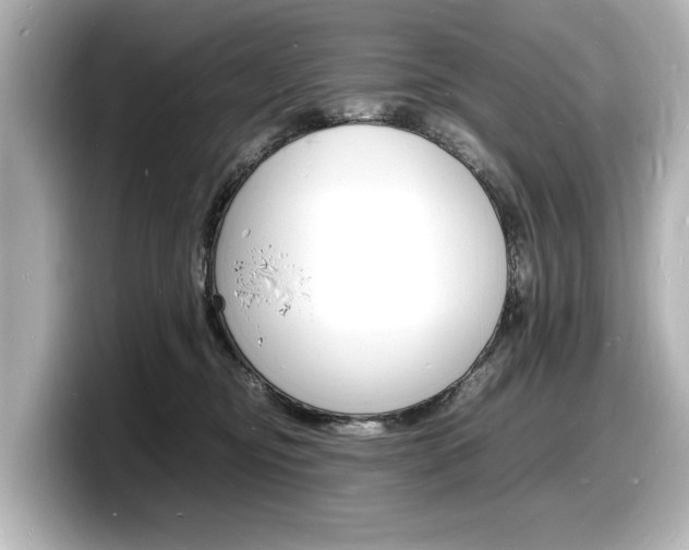 X0000098180374200804241035