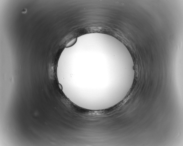 X0000098180378200804241035