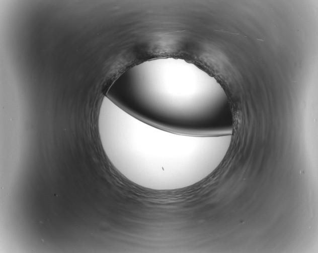 X0000098180380200804241035