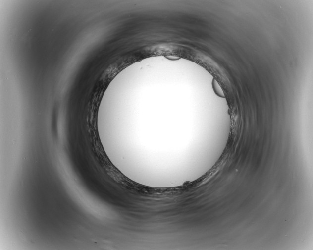 X0000098180381200804241035