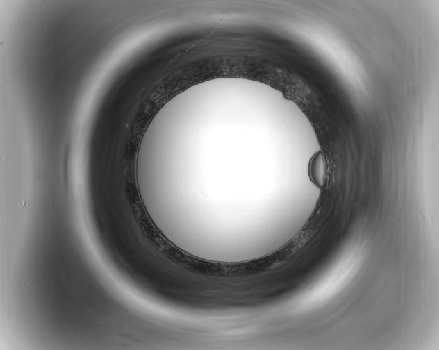 X0000098180383200804241035