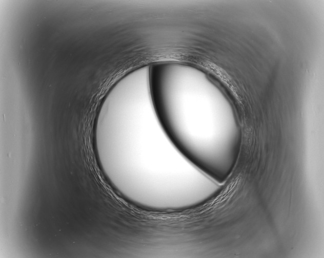 X0000098180385200804241035