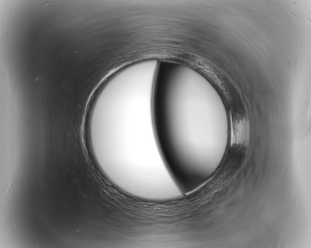 X0000098180387200804241035