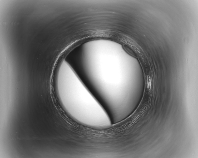 X0000098180388200804241035