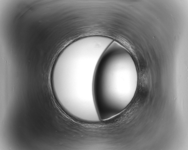 X0000098180389200804241035