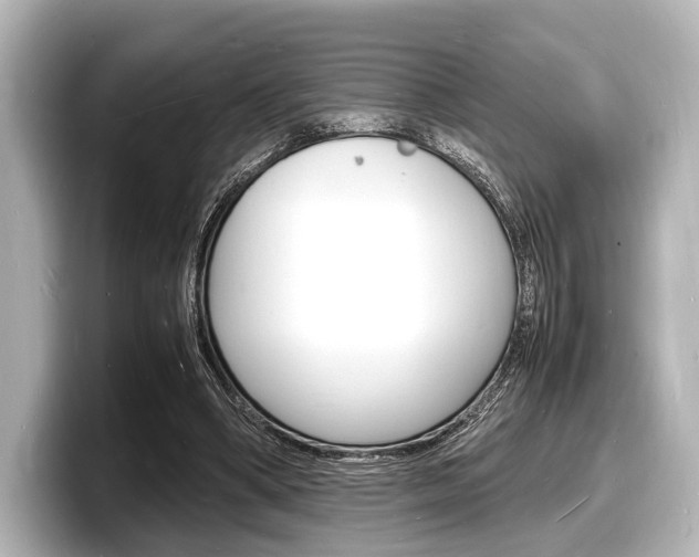 X0000098180394200804241034