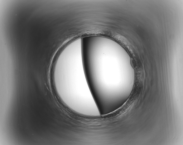 X0000098180395200804241034