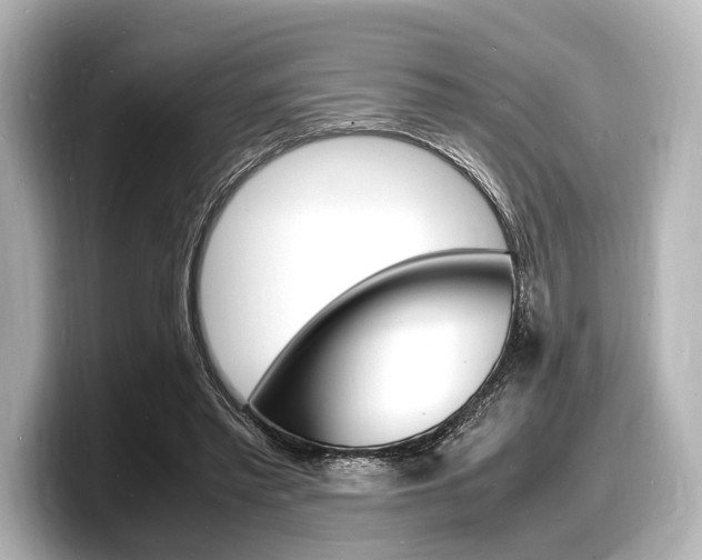 X0000098180397200804241034