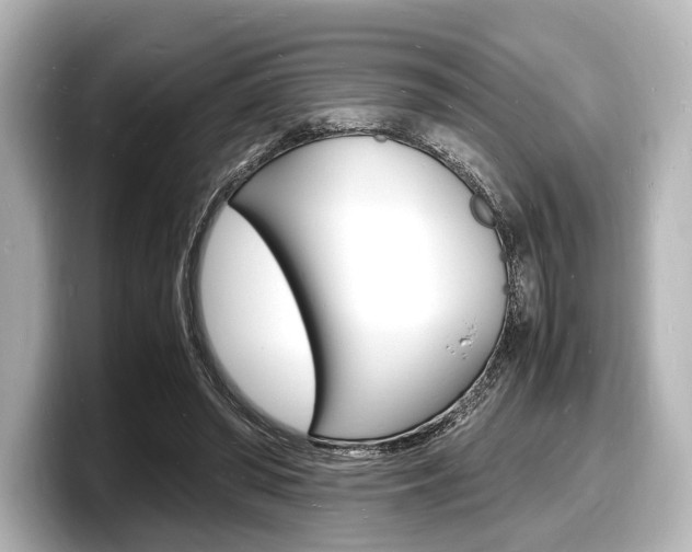 X0000098180398200804241034
