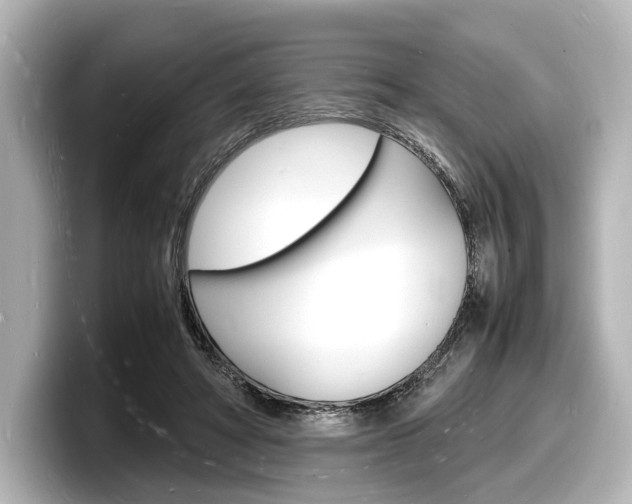 X0000098180402200804241034