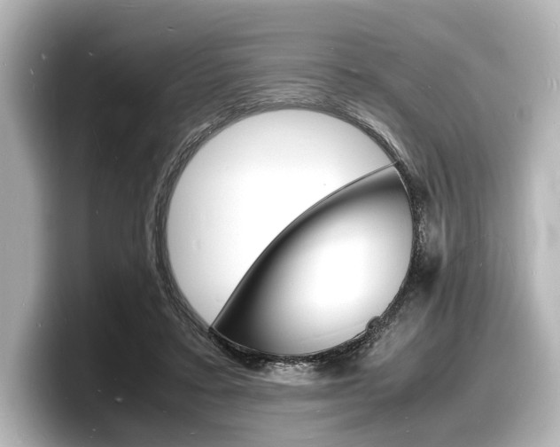 X0000098180403200804241034