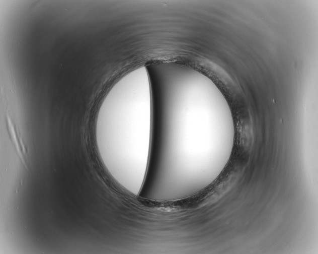 X0000098180404200804241034