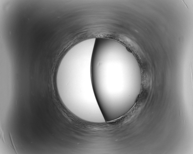 X0000098180405200804241034
