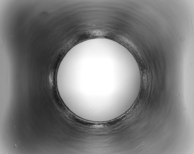 X0000098180406200804241034