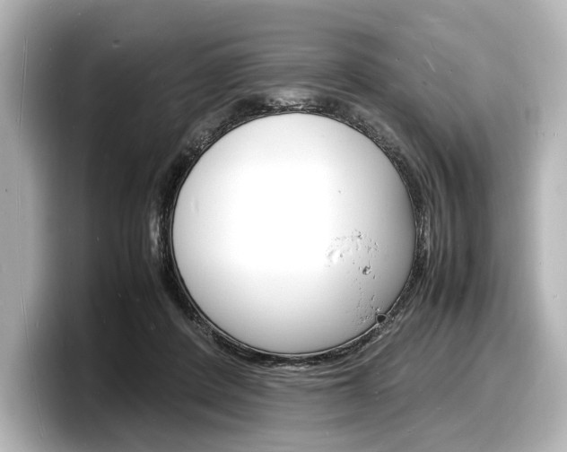 X0000098180408200804241034