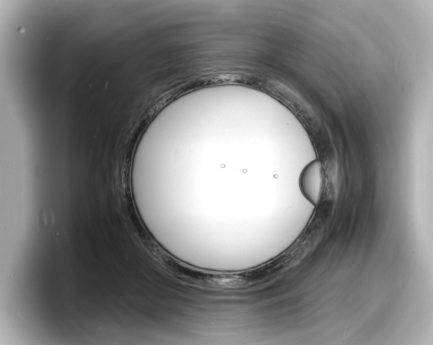 X0000098180410200804241034