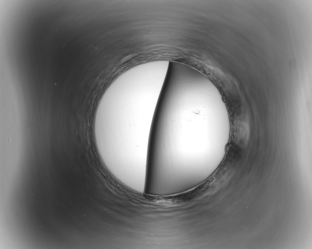 X0000098180413200804241034