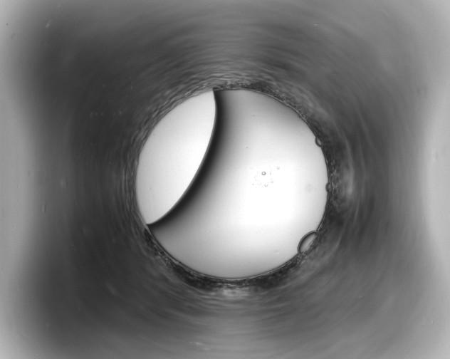 X0000098180416200804241034