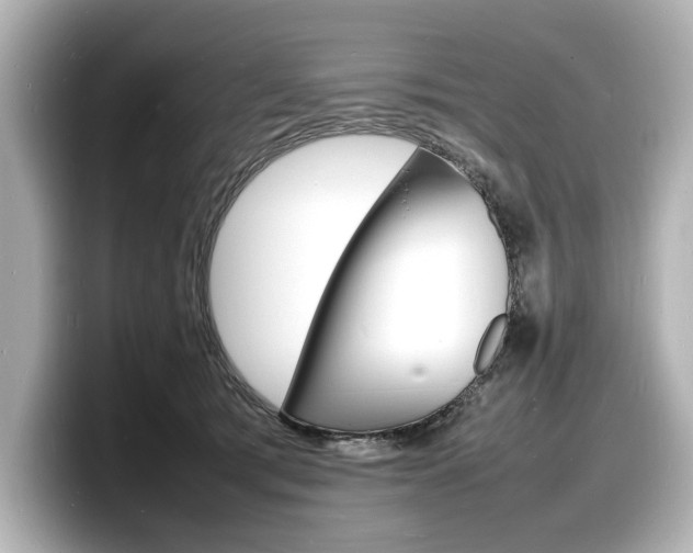 X0000098180417200804241034