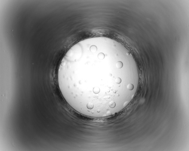 X0000098180418200804241034