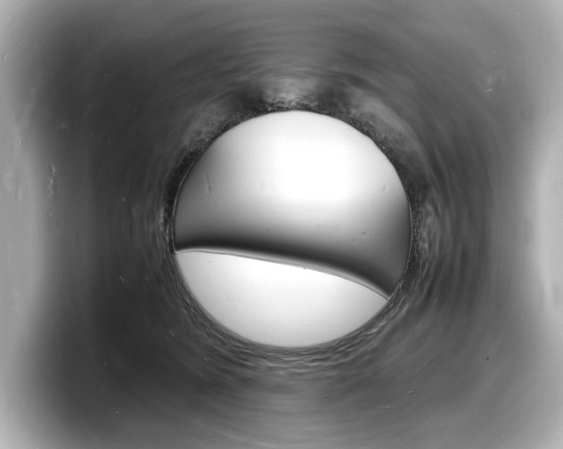 X0000098180420200804241034