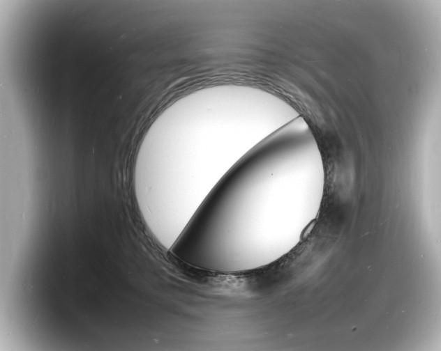 X0000098180421200804241034
