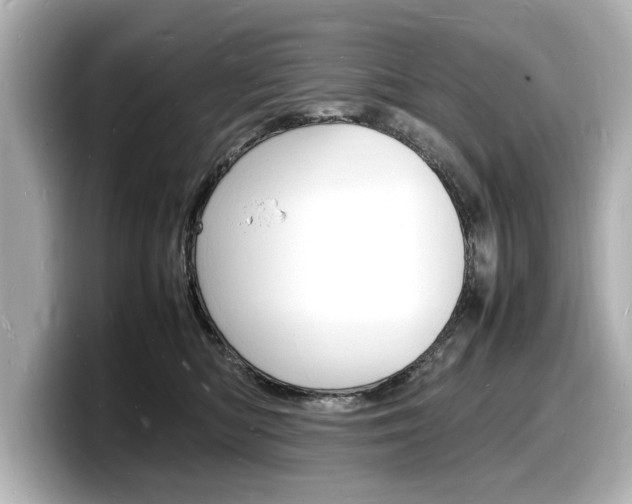 X0000098180422200804241034