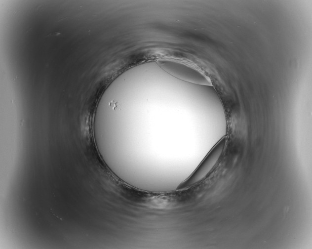 X0000098180423200804241034