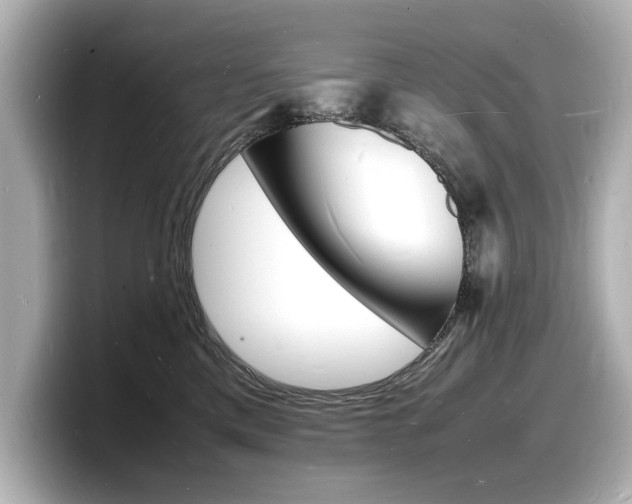 X0000098180425200804241034