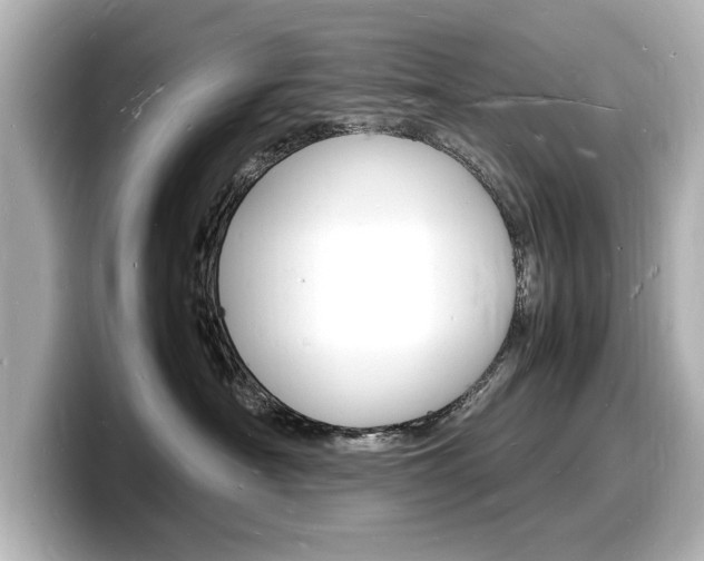 X0000098180430200804241034
