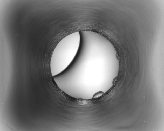 X0000098180432200804241034
