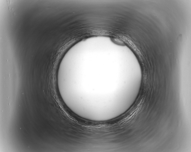 X0000098180433200804241033