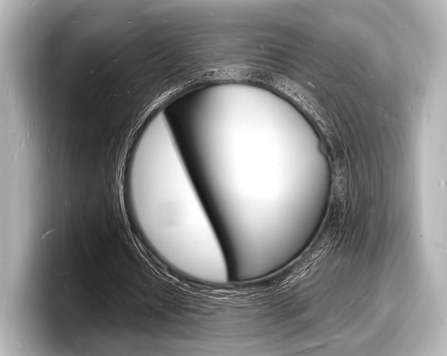 X0000098180434200804241033