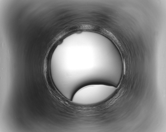 X0000098180435200804241033