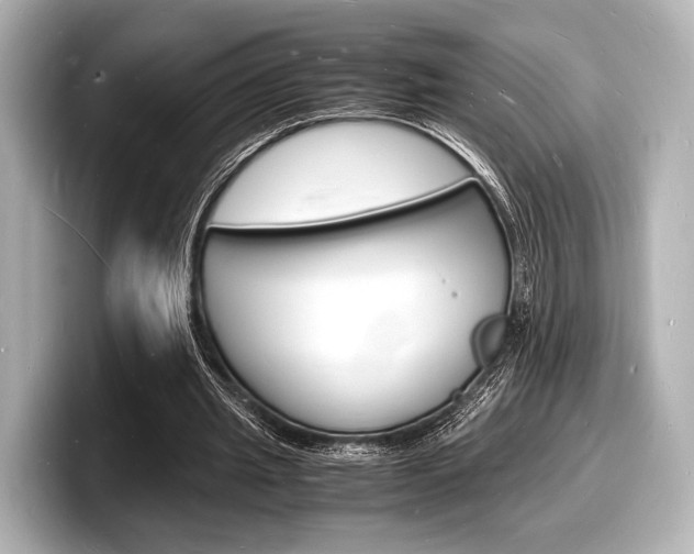 X0000098180437200804241033