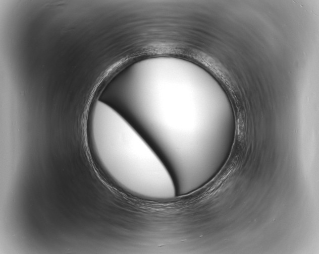X0000098180438200804241033