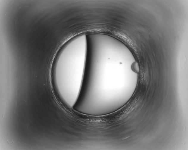 X0000098180439200804241033