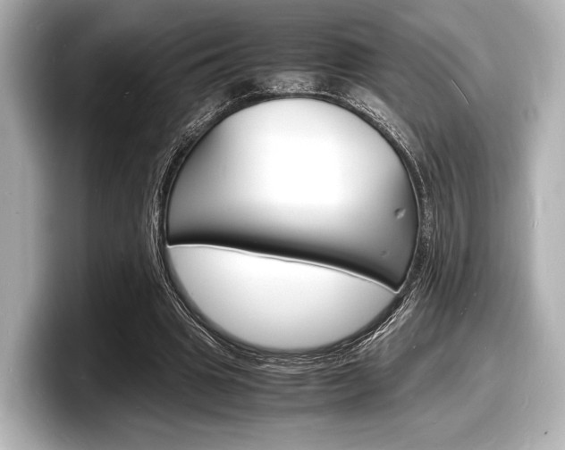 X0000098180441200804241033