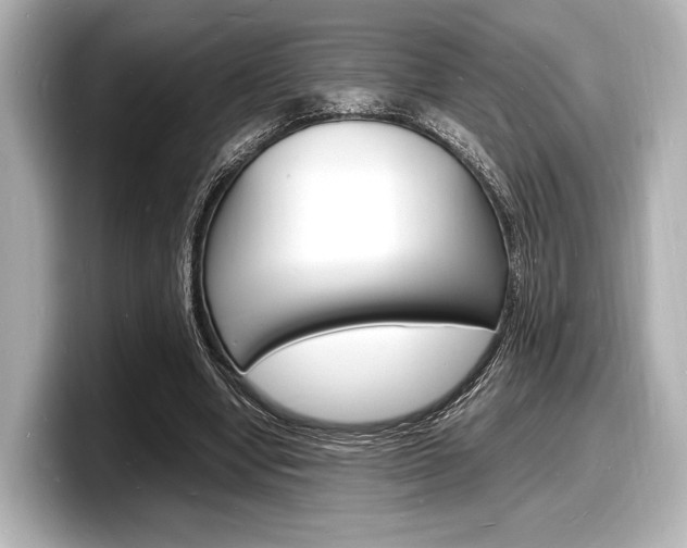 X0000098180442200804241033