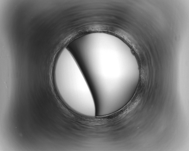 X0000098180445200804241033