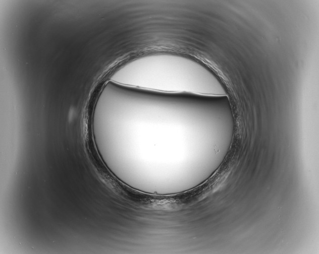 X0000098180446200804241033