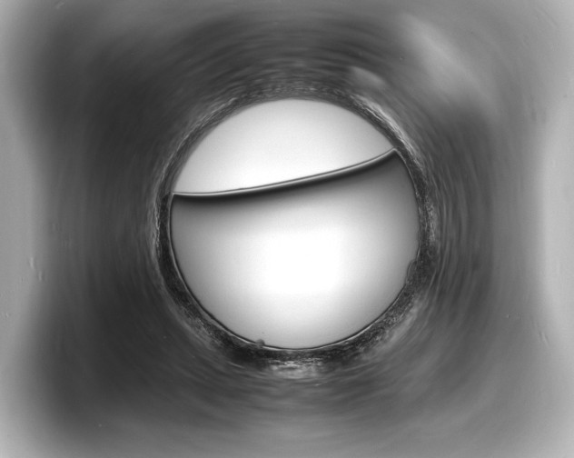 X0000098180447200804241034