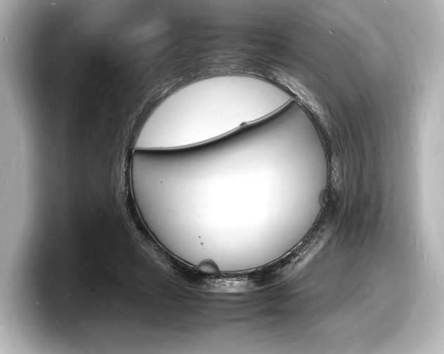 X0000098180449200804241034